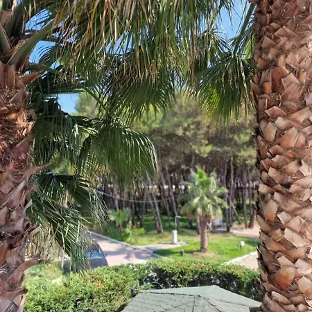 Pearl Adriatic Coast 4