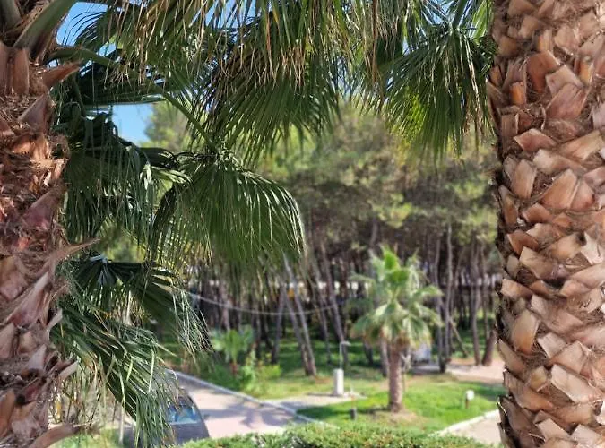 Pearl Adriatic Coast 4